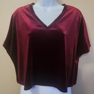 Aqua Women's Size XS Velvet Cropped T Shirt Red V Neck Oversized Top